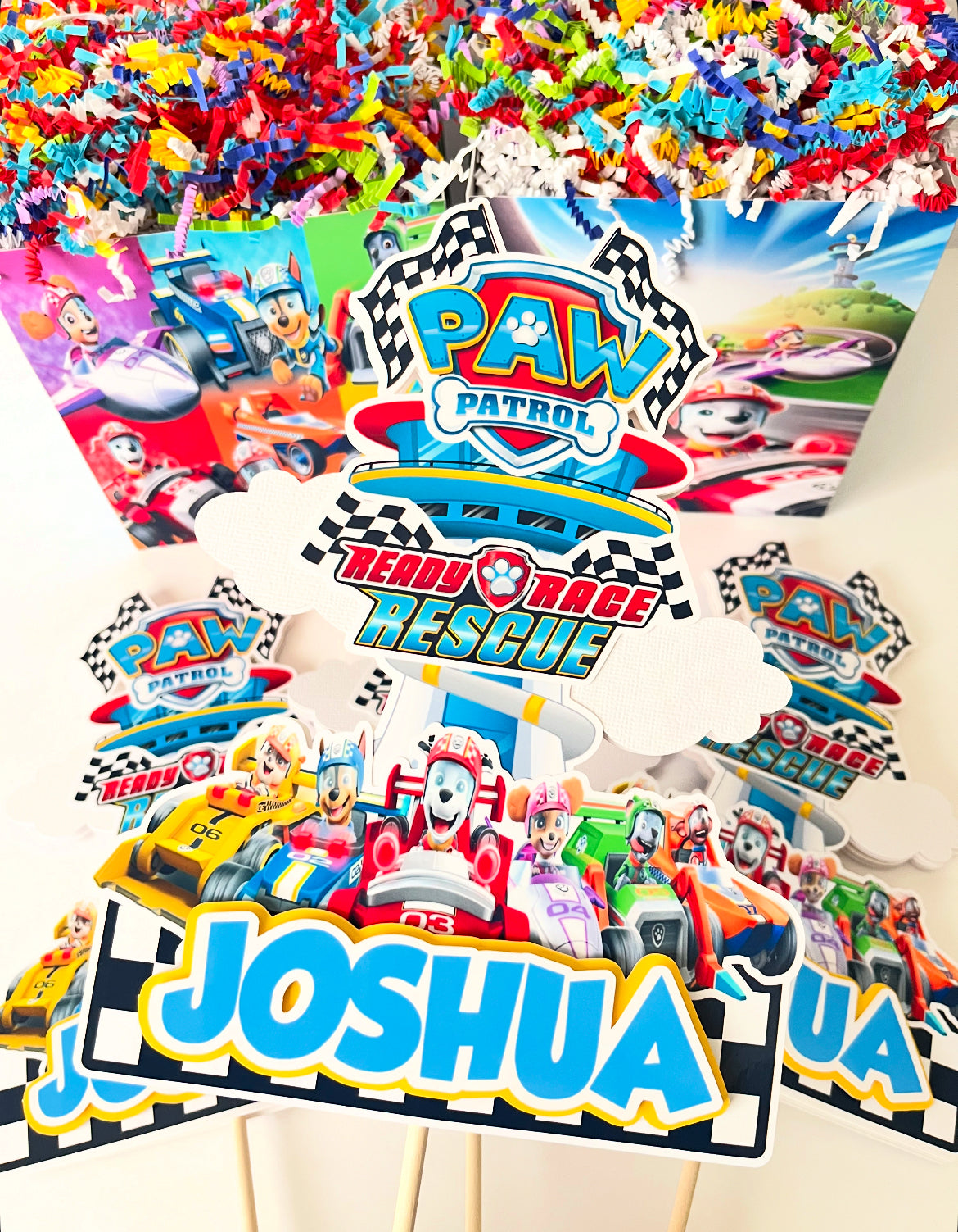 Paw Patrol Race Rescue themed Party Decorations